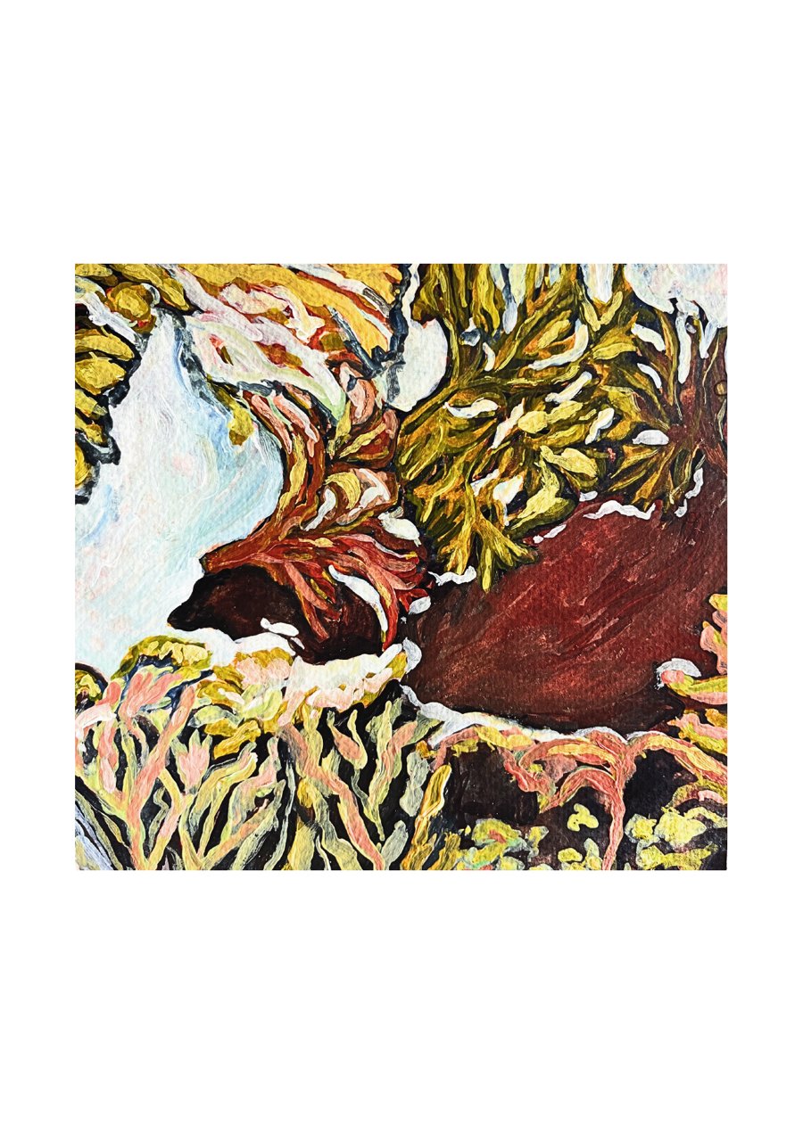Prior Commitments, painting of coastal rock pool textures
